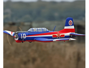 FMS 1.2M CJ-6 V2 PNP Version